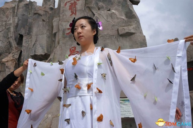 残忍还是艺术 河南景区扎死上百活蝴蝶装扮仙子裙