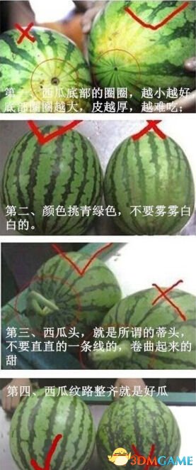 每日轻松一刻6月6日午间 野战有风险偷情须谨慎