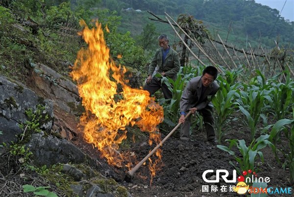 重庆惊现神秘气体有莫名的臭味 划根火柴能点燃