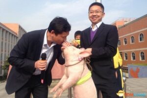 小学校长信守与学生的承诺与猪接吻照片红遍网络